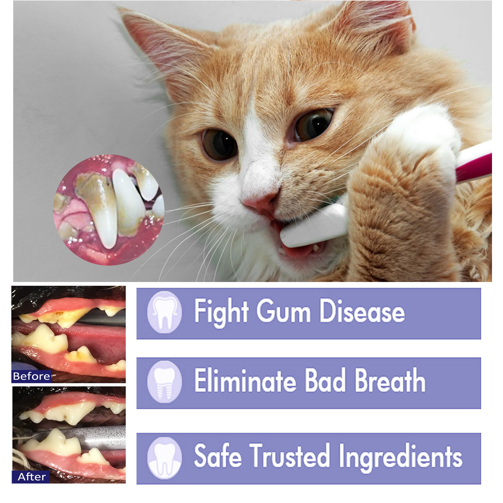 Pet Toothpaste Reduce Tartar R - Teeth Whitening Best avaliação e preço