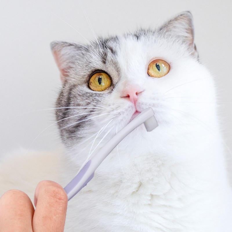 Dog Toothbrush Dog Teeth Clean - Teeth Whitening Brush avaliação e preço