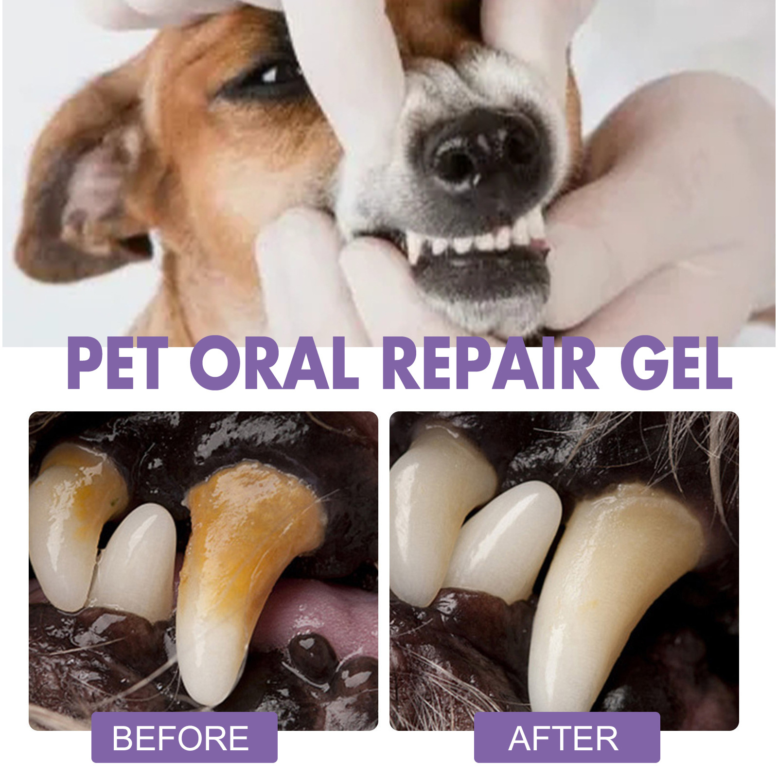 Pet Oral Repair Gel Puppy Tart - Teeth Whitening Session avaliação e preço