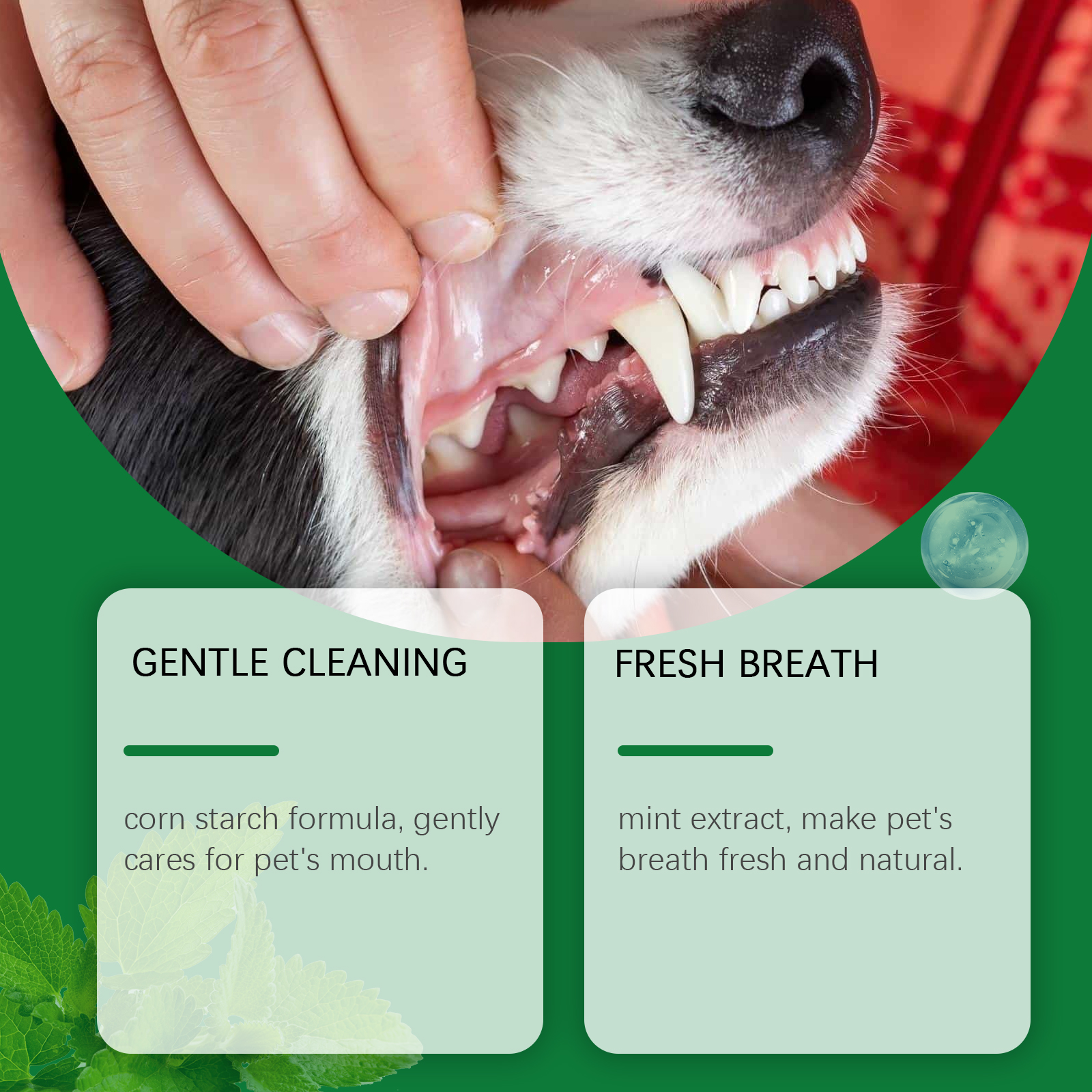 Pet Teeth Cleaning Powder Redu - Teeth Whitening Session avaliação e preço
