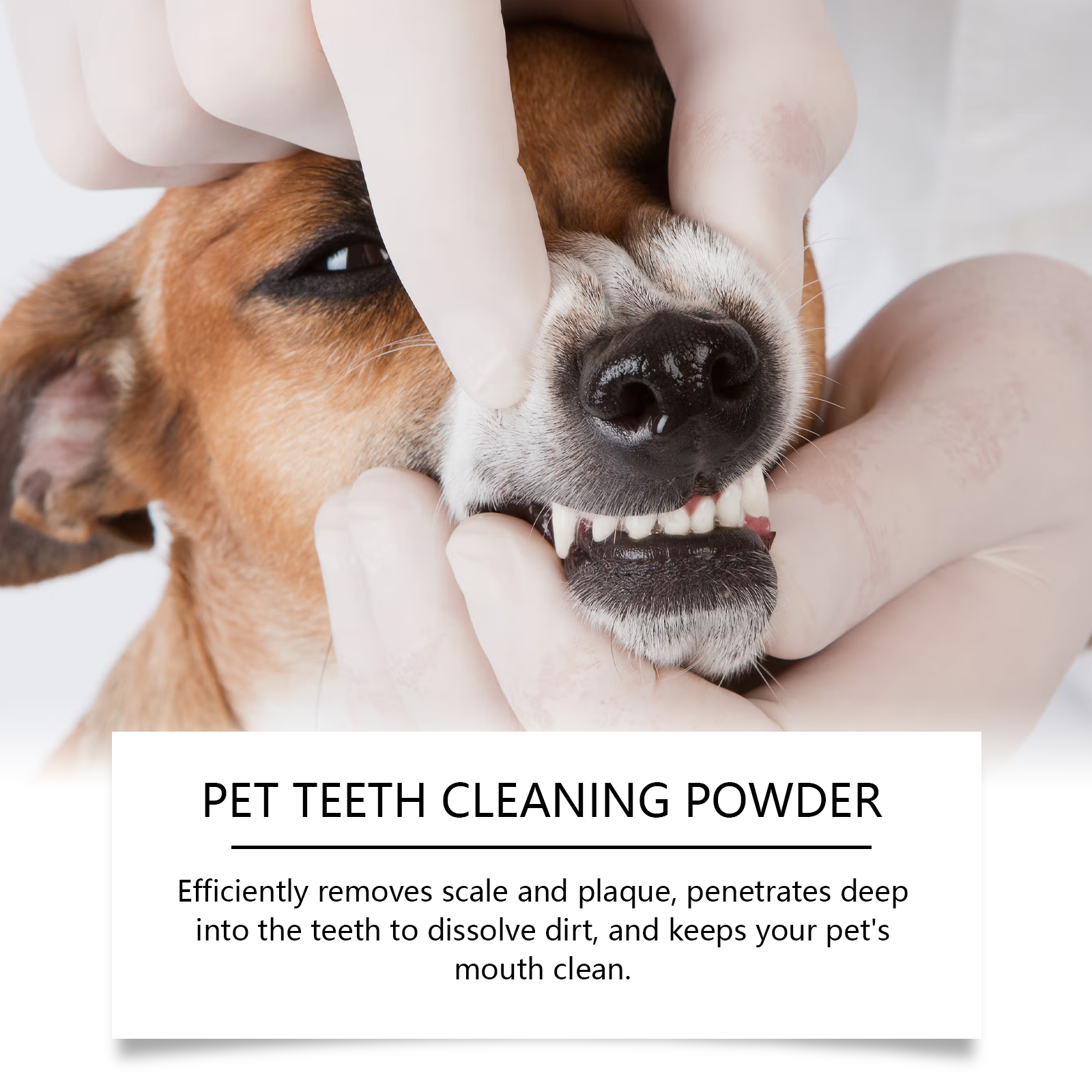 Pet Teeth Cleaning Powder Redu - Teeth Whitening Session avaliação e preço