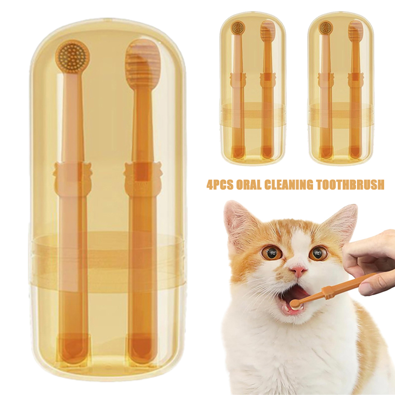Teeth Whitening Dog Cat Silico - Teeth Whitening Session avaliação e preço
