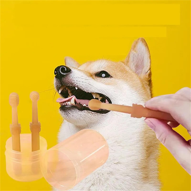 Teeth Whitening Dog Cat Silico - Teeth Whitening Session avaliação e preço