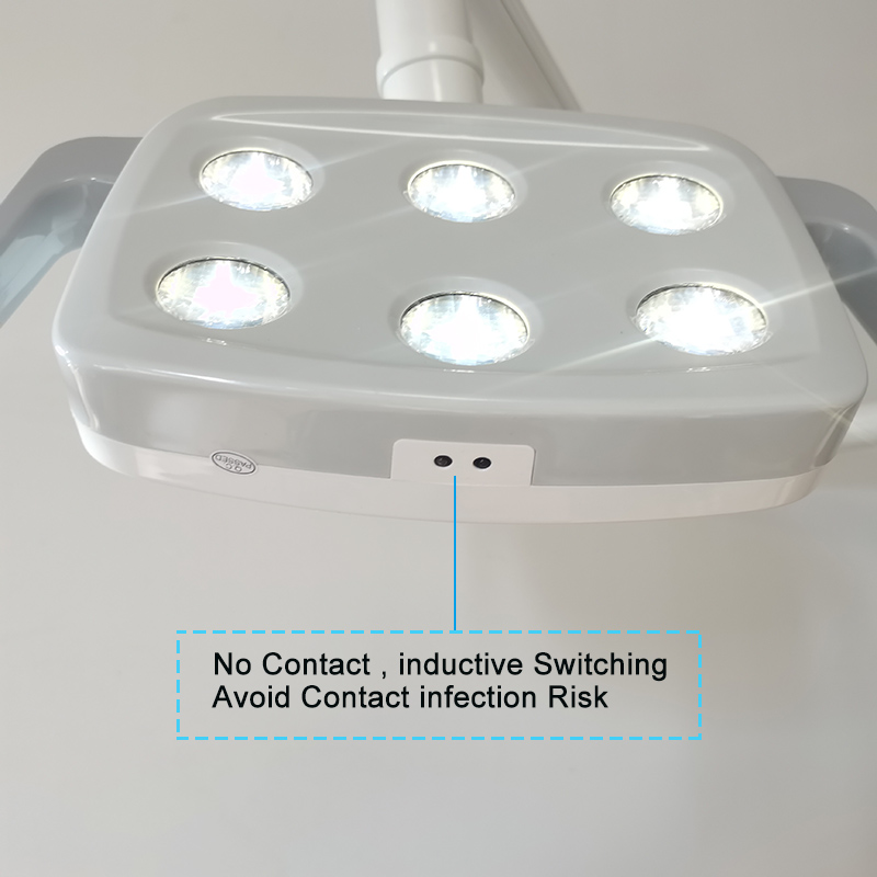 6LED Dental LED Lamp Oral Ligh - Teeth Whitening Express avaliação e preço