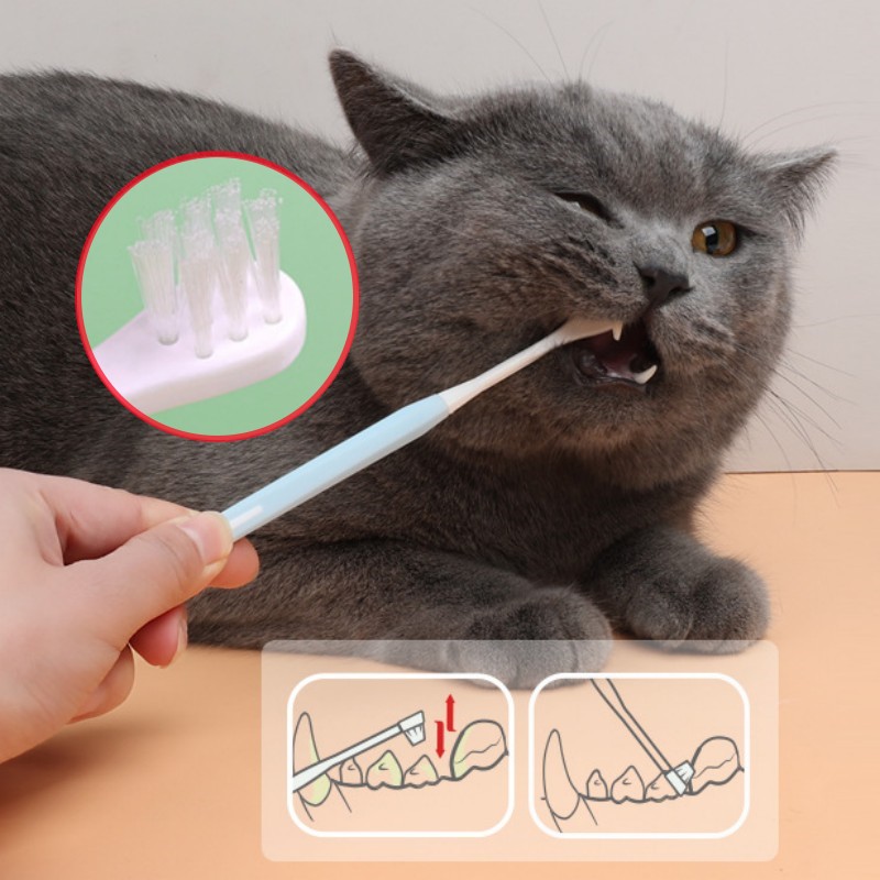 Pet Toothbrush Set Small Head  - Teeth Whitening Brush avaliação e preço