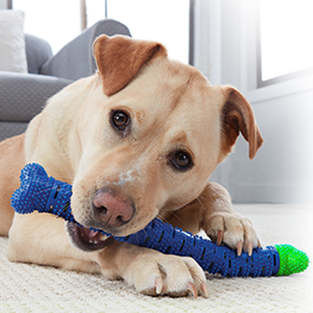 Simulation Detachable Bone Dog - Teeth Whitening Brush avaliação e preço
