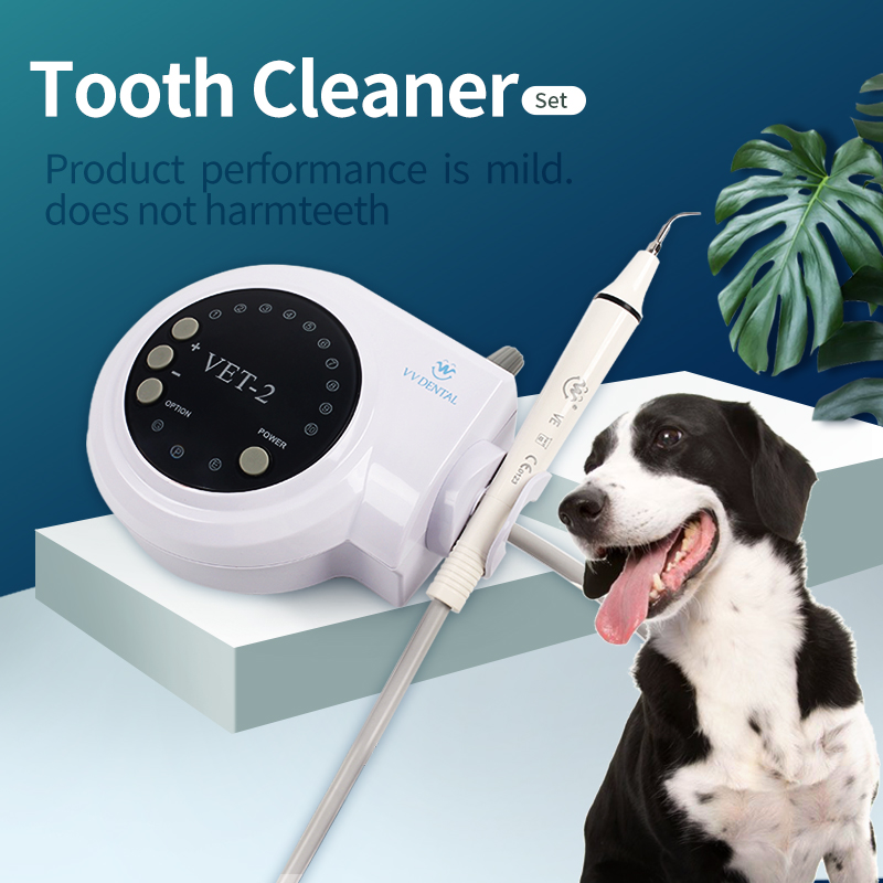 Pet Dental Ultrasonic Scaler D - Teeth Whitening Session avaliação e preço